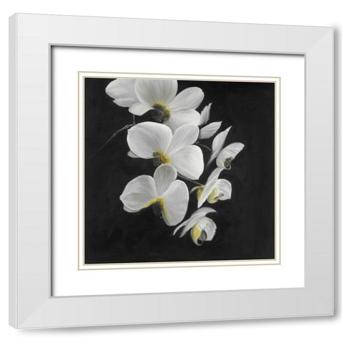 Beautiful Orchids White Modern Wood Framed Art Print with Double Matting by Atelier B Art Studio