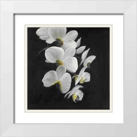 Beautiful Orchids White Modern Wood Framed Art Print with Double Matting by Atelier B Art Studio