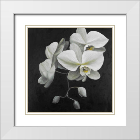 White Orchids White Modern Wood Framed Art Print with Double Matting by Atelier B Art Studio