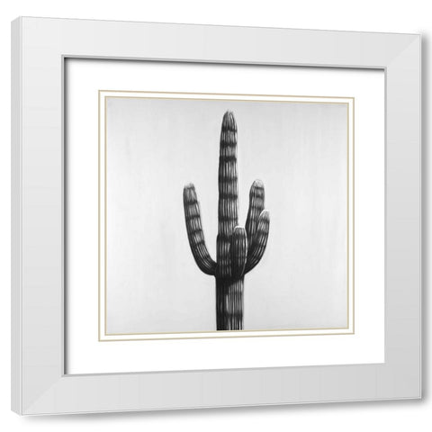 Large Cactus White Modern Wood Framed Art Print with Double Matting by Atelier B Art Studio