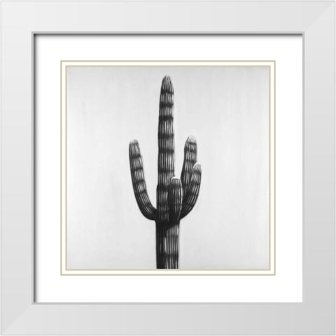 Large Cactus White Modern Wood Framed Art Print with Double Matting by Atelier B Art Studio