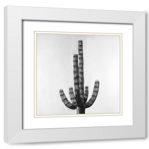 Cactus White Modern Wood Framed Art Print with Double Matting by Atelier B Art Studio