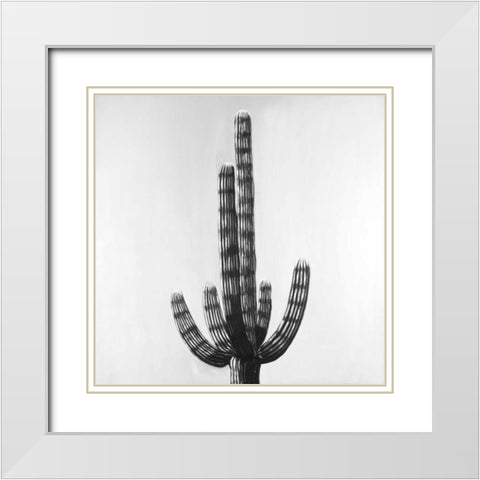 Cactus White Modern Wood Framed Art Print with Double Matting by Atelier B Art Studio