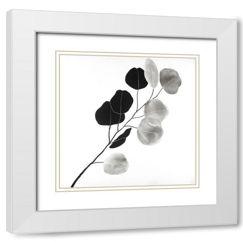 Grayscale Branch with Round Shape Leaves White Modern Wood Framed Art Print with Double Matting by Atelier B Art Studio