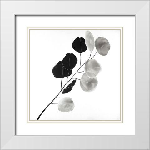 Grayscale Branch with Round Shape Leaves White Modern Wood Framed Art Print with Double Matting by Atelier B Art Studio
