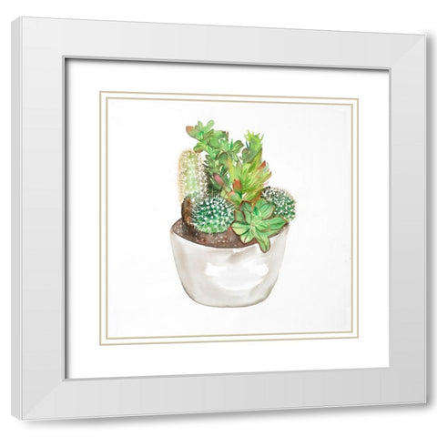 CACTUS ASSORTMENT IN A POT White Modern Wood Framed Art Print with Double Matting by Atelier B Art Studio