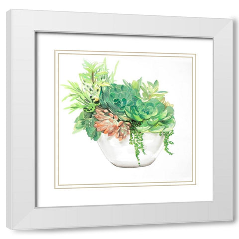 SUCCULENT ASSORTMENT IN A POT White Modern Wood Framed Art Print with Double Matting by Atelier B Art Studio