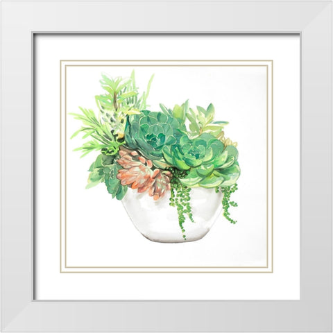 SUCCULENT ASSORTMENT IN A POT White Modern Wood Framed Art Print with Double Matting by Atelier B Art Studio