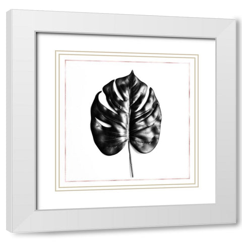 SPLIT LEAF PHILODENDRON WITH ROSE LINE White Modern Wood Framed Art Print with Double Matting by Atelier B Art Studio