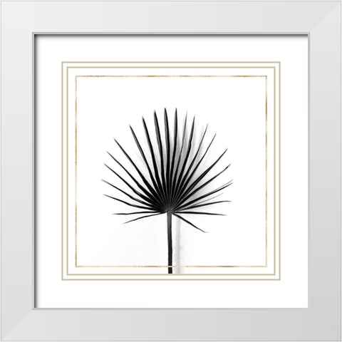 CABBAGE PALM LEAF WITH GOLD LINES White Modern Wood Framed Art Print with Double Matting by Atelier B Art Studio