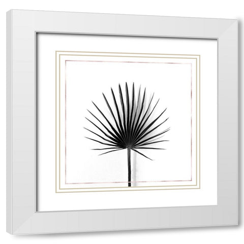 CABBAGE PALM LEAF WITH ROSE LINES White Modern Wood Framed Art Print with Double Matting by Atelier B Art Studio