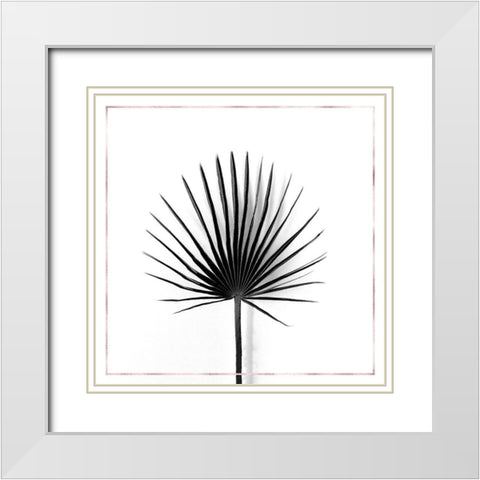 CABBAGE PALM LEAF WITH ROSE LINES White Modern Wood Framed Art Print with Double Matting by Atelier B Art Studio