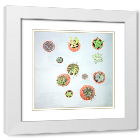 CACTUS PLANTS White Modern Wood Framed Art Print with Double Matting by Atelier B Art Studio