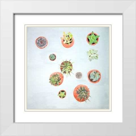 CACTUS PLANTS White Modern Wood Framed Art Print with Double Matting by Atelier B Art Studio