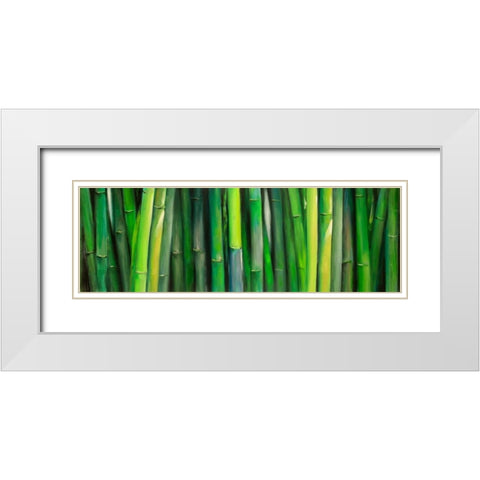 Bamboo Plant White Modern Wood Framed Art Print with Double Matting by Atelier B Art Studio