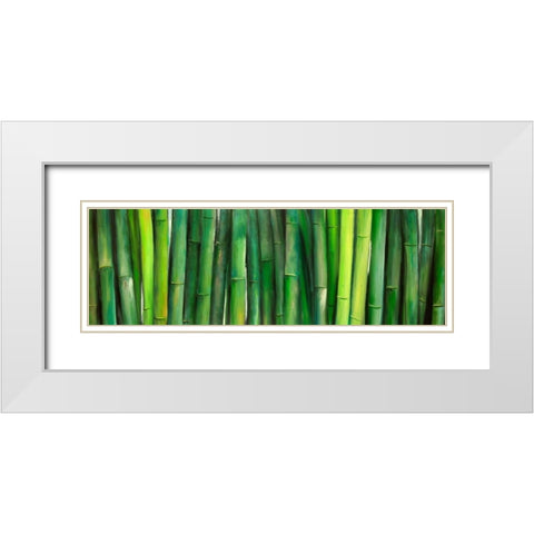 Green Bamboo White Modern Wood Framed Art Print with Double Matting by Atelier B Art Studio