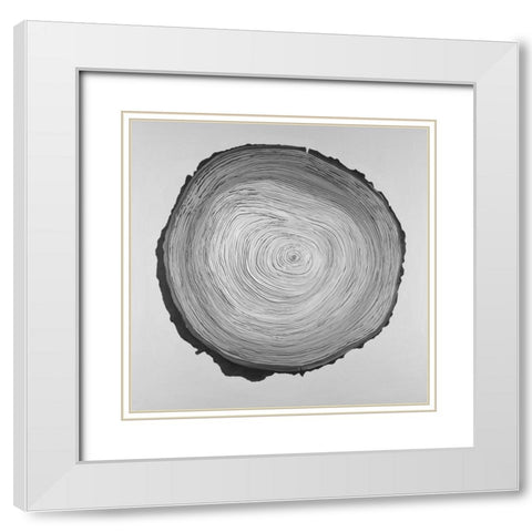 Grayscale Round Shaped Tree Slab White Modern Wood Framed Art Print with Double Matting by Atelier B Art Studio