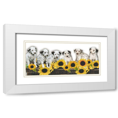 Puppies and Sunflowers White Modern Wood Framed Art Print with Double Matting by Hoenderkamp, Patrick