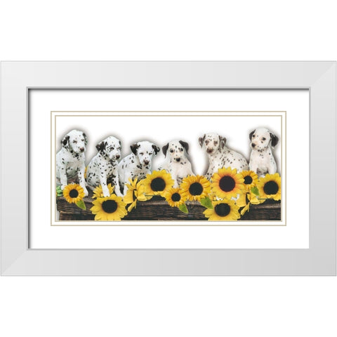 Puppies and Sunflowers White Modern Wood Framed Art Print with Double Matting by Hoenderkamp, Patrick