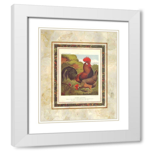 Brown Leg Horn, Cassells Poultry Book White Modern Wood Framed Art Print with Double Matting by Ludlow, J.W.