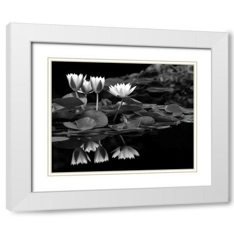 Reflections on Water White Modern Wood Framed Art Print with Double Matting by Frates, Dennis