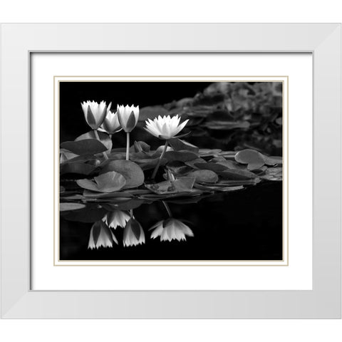 Reflections on Water White Modern Wood Framed Art Print with Double Matting by Frates, Dennis