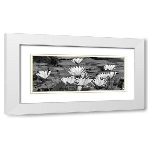 White Innocence Water White Modern Wood Framed Art Print with Double Matting by Frates, Dennis