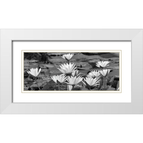 White Innocence Water White Modern Wood Framed Art Print with Double Matting by Frates, Dennis
