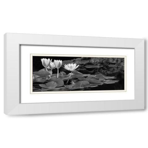 Hughes Water Garden White Modern Wood Framed Art Print with Double Matting by Frates, Dennis