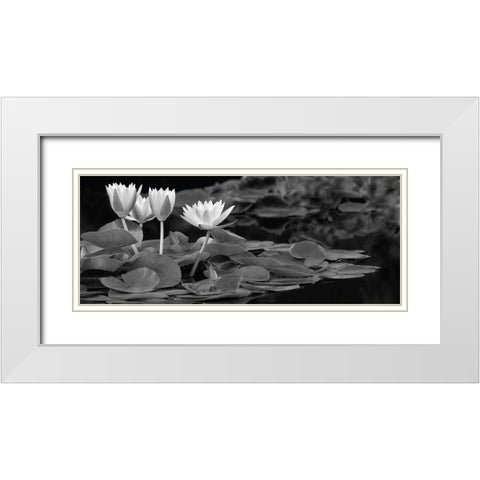 Hughes Water Garden White Modern Wood Framed Art Print with Double Matting by Frates, Dennis