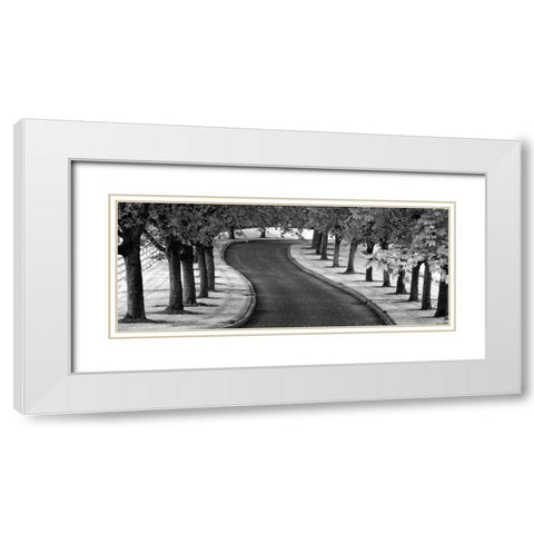 Maple Tree Lined Drive White Modern Wood Framed Art Print with Double Matting by Frates, Dennis