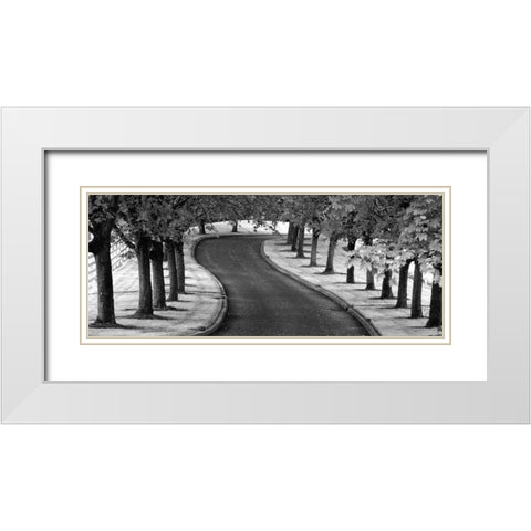 Maple Tree Lined Drive White Modern Wood Framed Art Print with Double Matting by Frates, Dennis