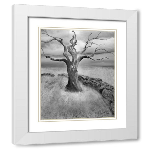 The Meadow White Modern Wood Framed Art Print with Double Matting by Fisch, Ellen