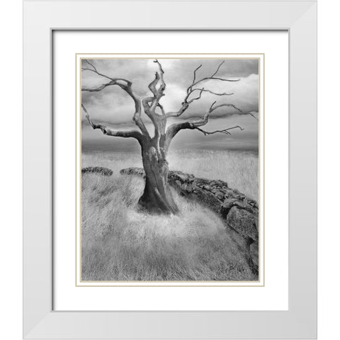 The Meadow White Modern Wood Framed Art Print with Double Matting by Fisch, Ellen