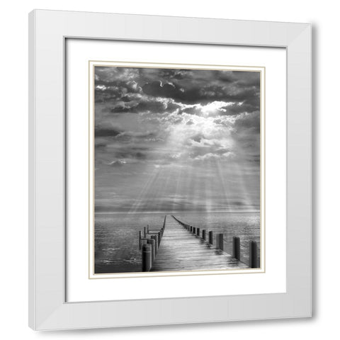 Storm Clearing White Modern Wood Framed Art Print with Double Matting by Fisch, Ellen
