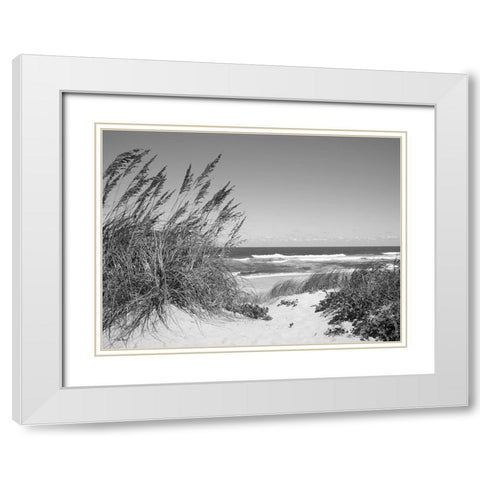 Dune Path White Modern Wood Framed Art Print with Double Matting by Turek, Eve