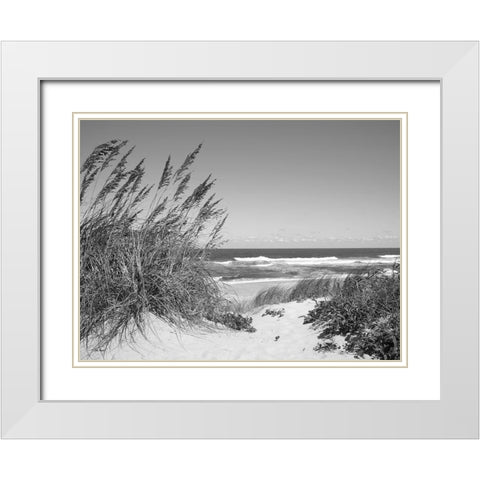 Dune Path White Modern Wood Framed Art Print with Double Matting by Turek, Eve
