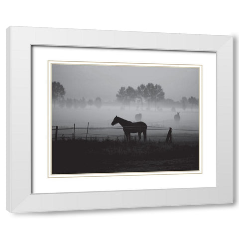 Grazing in the Mist White Modern Wood Framed Art Print with Double Matting by Anonymous