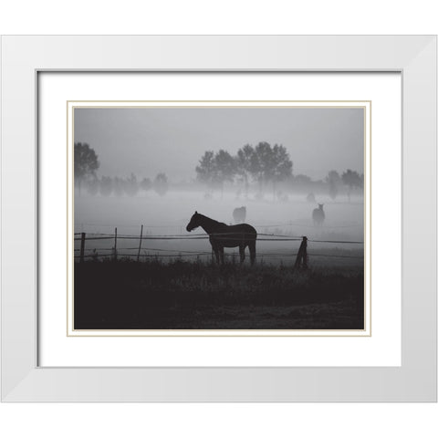 Grazing in the Mist White Modern Wood Framed Art Print with Double Matting by Anonymous
