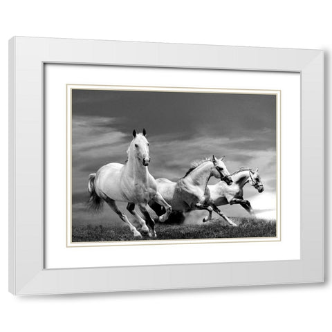 White Stallions White Modern Wood Framed Art Print with Double Matting by Anonymous