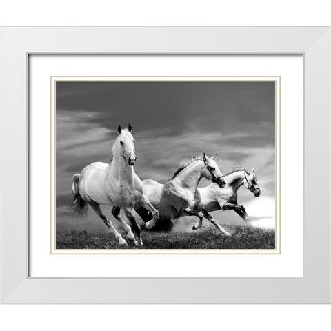White Stallions White Modern Wood Framed Art Print with Double Matting by Anonymous