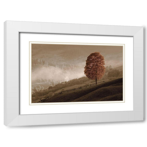 Lovely Mountain Tree White Modern Wood Framed Art Print with Double Matting by Kotenko, O.