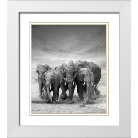 Elephant Herd White Modern Wood Framed Art Print with Double Matting by Byrdyak, V.