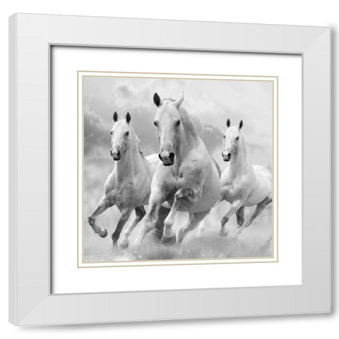 Three White Stallions White Modern Wood Framed Art Print with Double Matting by Itina, Maria