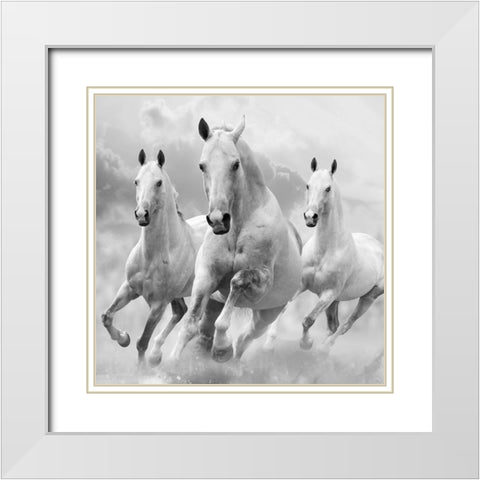 Three White Stallions White Modern Wood Framed Art Print with Double Matting by Itina, Maria