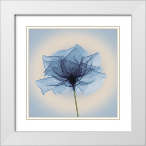 Layered Veil, Blue White Modern Wood Framed Art Print with Double Matting by Anonymous