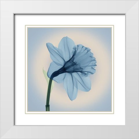 Veiled Blossom, Blue White Modern Wood Framed Art Print with Double Matting by Anonymous