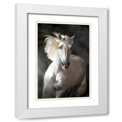 White Andalusian White Modern Wood Framed Art Print with Double Matting by Golubenko, S.