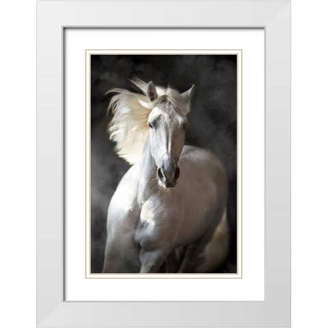 White Andalusian White Modern Wood Framed Art Print with Double Matting by Golubenko, S.