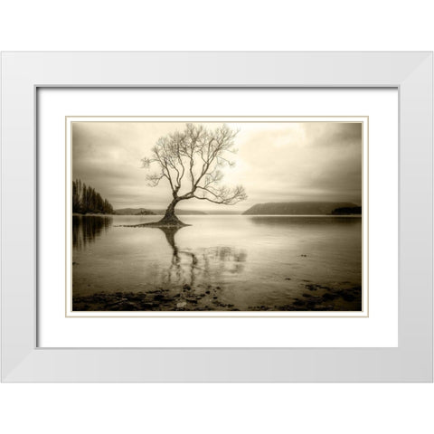 Lone Tree in a Lake White Modern Wood Framed Art Print with Double Matting by Rushton, Ian